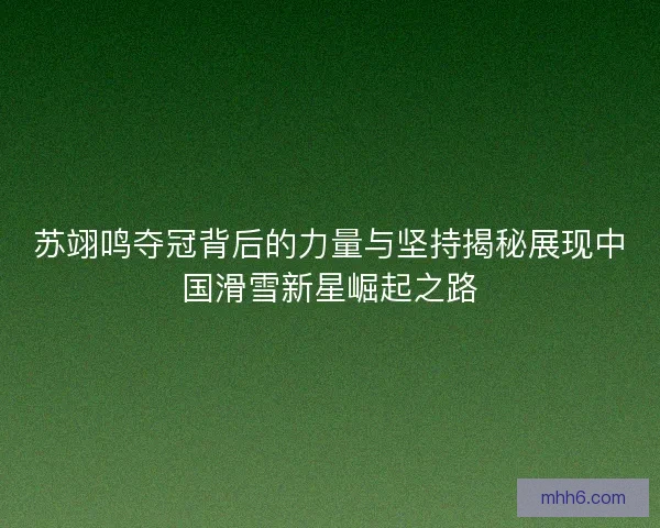 苏翊鸣夺冠背后的力量与坚持揭秘展现中国滑雪新星崛起之路